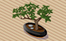 Juniper Bonsai Badge - Solitaire Gardens