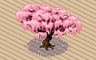 Cherry Blossom Tree (medium) Badge - Solitaire Gardens