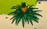 Pineapple Plant Badge - Solitaire Gardens