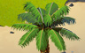 Kentia Palm Tree Badge - Solitaire Gardens