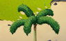 Foxtail Palm Tree Badge - Solitaire Gardens