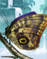 Owl Butterfly Badge - Jungle Gin HD