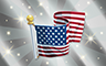 Silver US Flag Badge - Poppit! Bingo