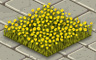 Yellow Daisies Badge - Solitaire Gardens