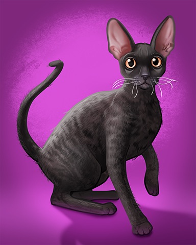 Cornish Rex Badge - Lottso! Express HD