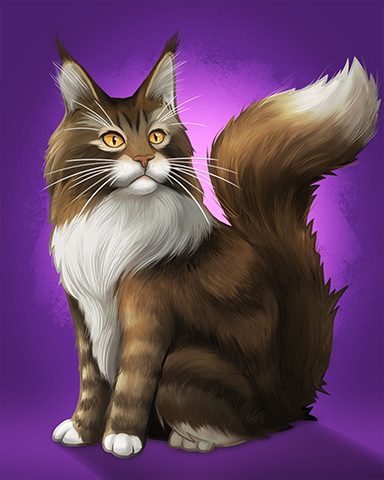 Maine Coon Badge - Aces Up! HD