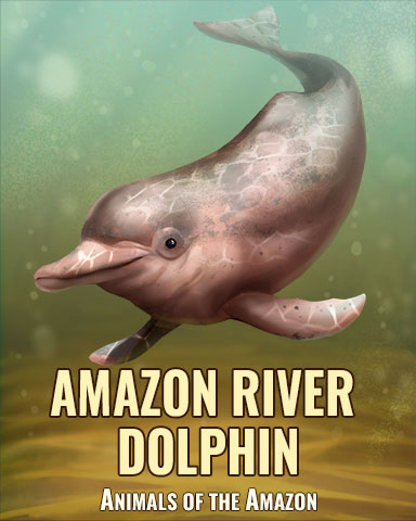 Amazon River Dolphin Badge - Jungle Gin HD