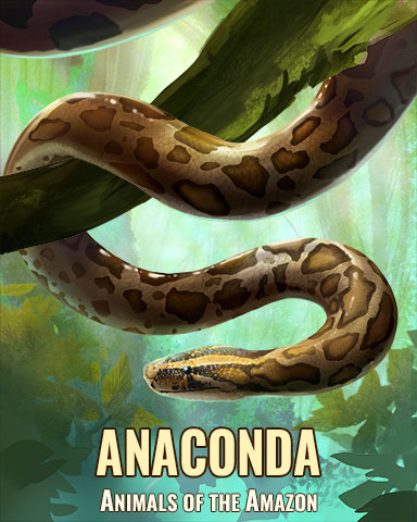 Anaconda Badge - Jet Set Solitaire