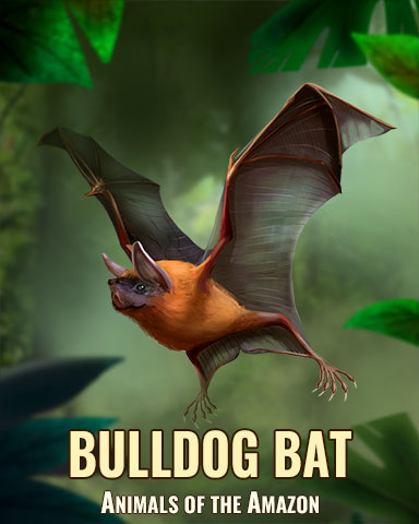 Bulldog Bat Badge - Bookworm HD