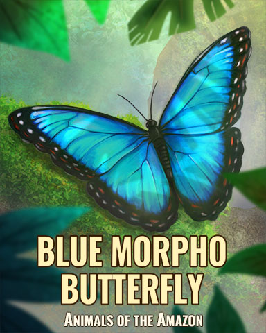 Blue Morpho Butterfly Badge - From France With Love