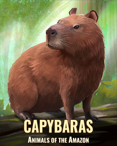 Capybara Badge - Poppit! HD