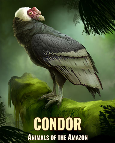 Condor Badge - Pogo™ Addiction Solitaire HD