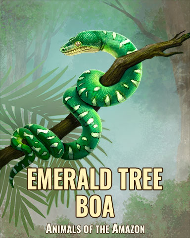 Emerald Tree Boa Badge - Quinn's Aquarium