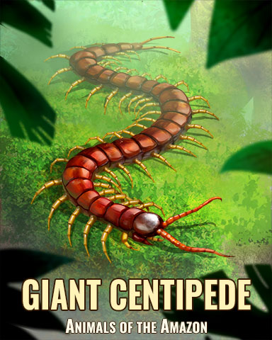 Giant Centipede Badge - Poppit! Bingo