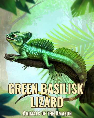 Green Basilisk Lizard Badge - World Class Solitaire HD