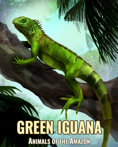 Green Iguana Badge - Jungle Gin HD