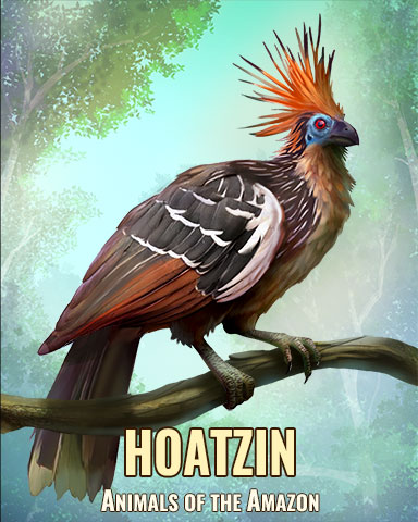 Hoatzin Badge - Solitaire Blitz