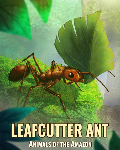 Leaf Cutter Ant Badge - Word Whomp HD