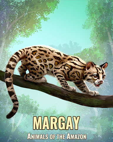 Margay Badge - First Class Solitaire HD