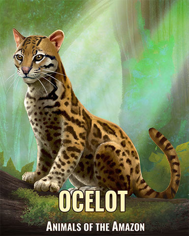 Ocelot Badge - Mahjong Safari HD