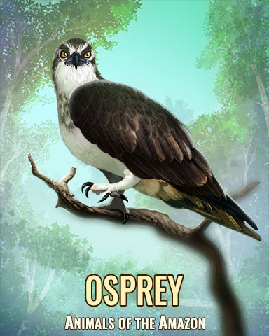 Osprey Badge - Crazy Cakes 2