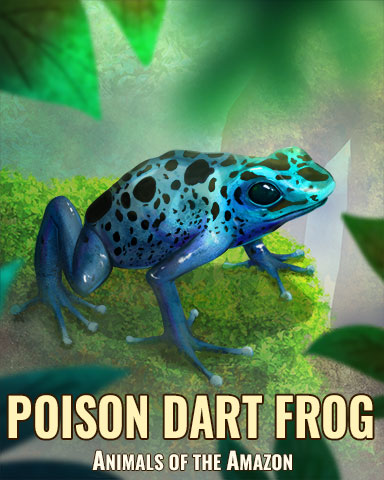 Poison Dart Frog Badge - Rainy Day Spider Solitaire HD