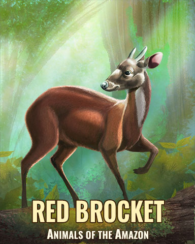 Red Brocket Badge - Poppit! Bingo