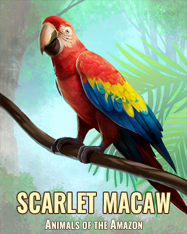 Scarlet Macaw Badge - Jigsaw Treasure Hunter HD