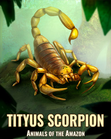 Tityus Scorpion Badge - Sweet Tooth Town