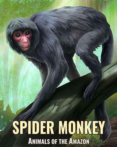 Spider Monkey Badge - Jewel Academy