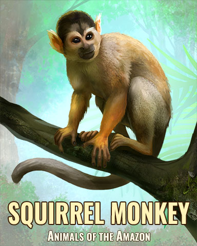 Squirrel Monkey Badge - Winter Wonderland Squirrel Monkey Badge - Winter Wonderland