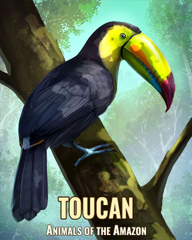 Toucan Badge - Claire Hart: Secret In The Shadows