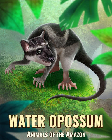 Water Opossum Badge - Solitaire Blitz