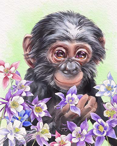 Chimpanzee Animals With Blooms Badge - Canasta HD