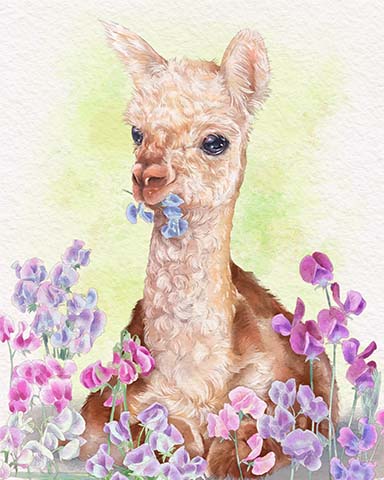 Llama Animals With Blooms Badge - Claire Hart: Secret In The Shadows