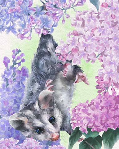 Possum Animals With Blooms Badge - Tri-Peaks Solitaire HD