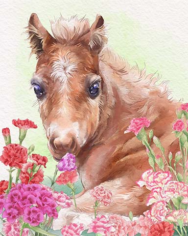 Foal Animals With Blooms Badge - First Class Solitaire HD