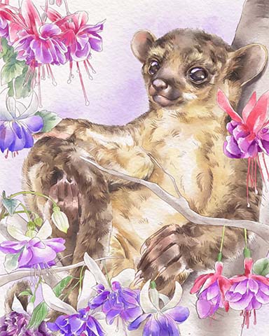 Kinkajou Animals With Blooms Badge - Canasta HD