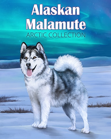 Alaskan Malamute Arctic Animals Badge - Tri-Peaks Solitaire HD