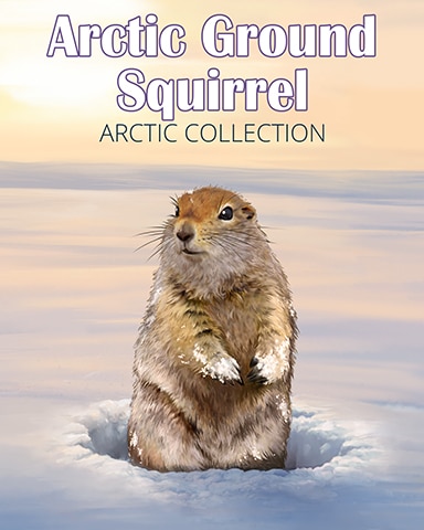 Arctic Ground Squirrel Arctic Animals Badge - Jigsaw Treasure Hunter HD