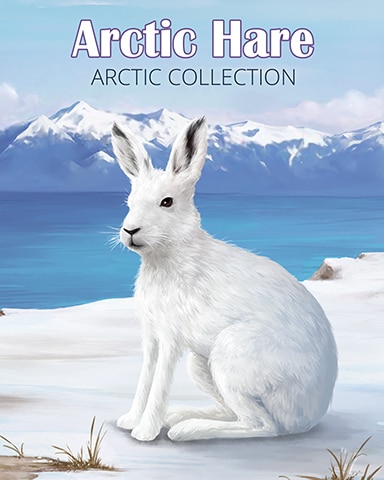 Arctic Hare Arctic Animals Badge - Payday Freecell HD