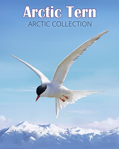 Arctic Tern Arctic Animals Badge - Dice City Roller HD