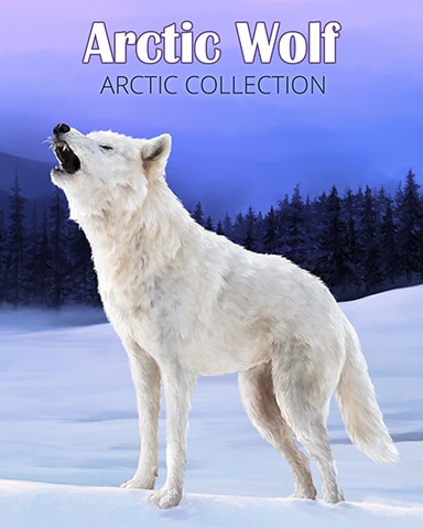 Arctic Wolf Arctic Animals Badge - Anagrams