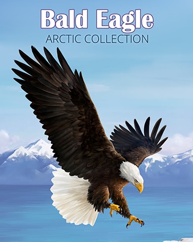 Bald Eagle Arctic Animals Badge - Mahjong Sanctuary