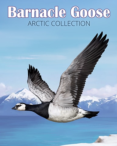 Barnacle Goose Arctic Animals Badge - Poppit! Party