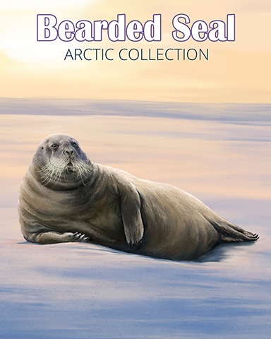 Bearded Seal Arctic Animals Badge - Crossword Cove HD