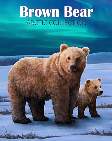 Brown Bear Arctic Animals Badge - Canasta HD