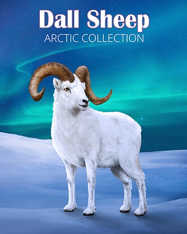 Dall Sheep Arctic Animals Badge - Mahjong Garden HD