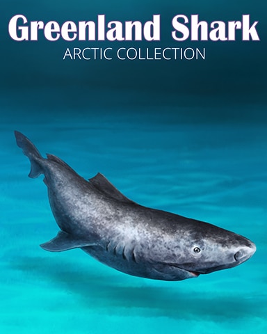 Greenland Shark Arctic Animals Badge - World Class Solitaire HD