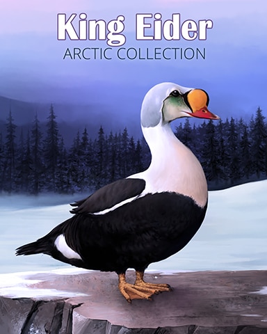 King Eider Arctic Animals Badge - MONOPOLY Sudoku